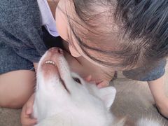 -TrueLove @ Neverland (Husky Cafe)