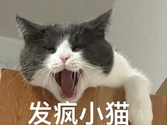 -星巴克(北京南站2B检票口)