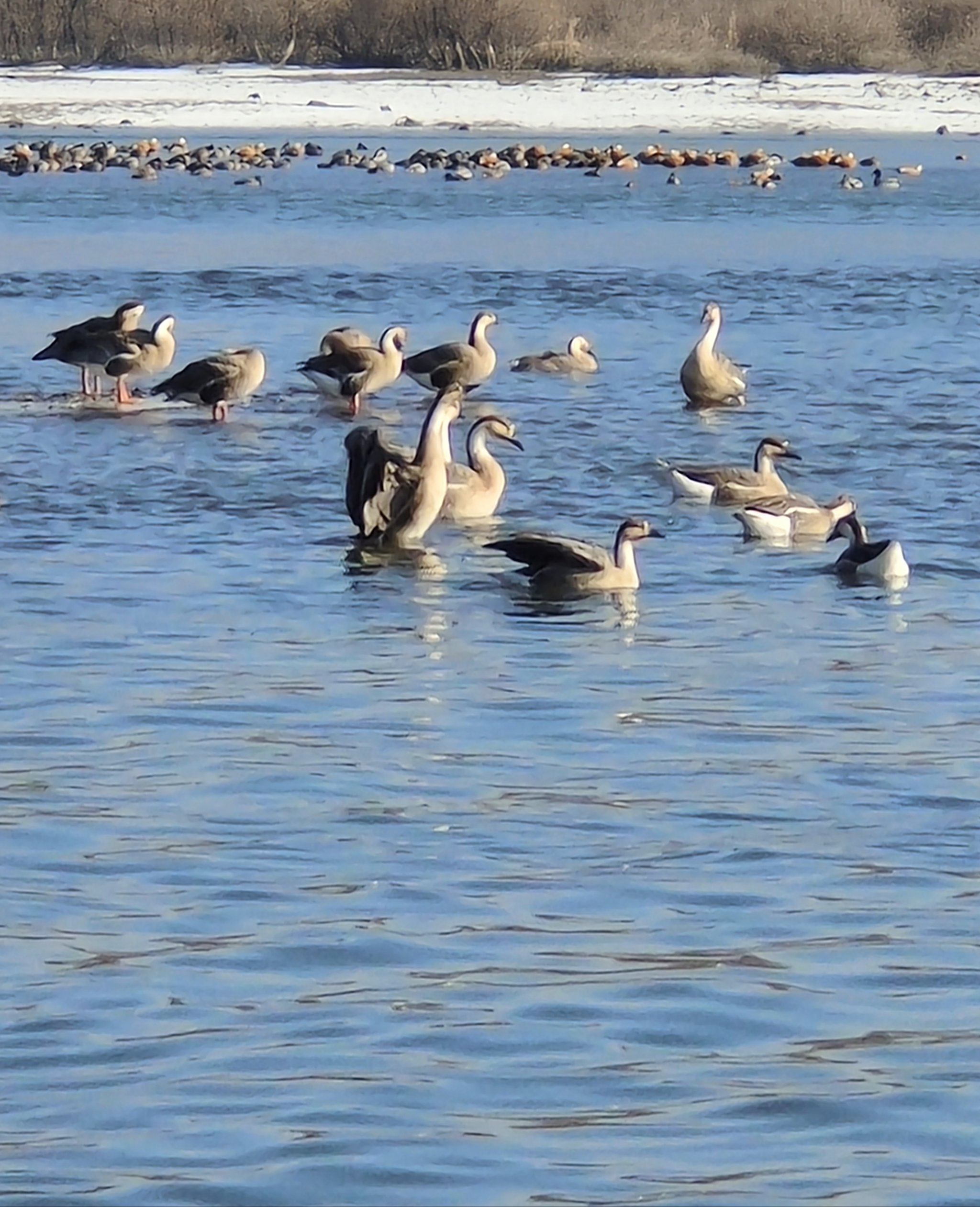 浑河多宽图片