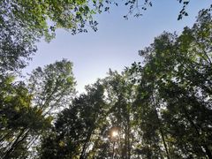 -桤木河湿地公园