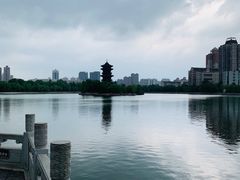 -迎泽公园