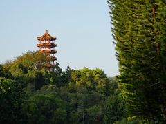 -深圳仙湖植物园