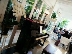 android_upload_pic-Fern Forest Cafe