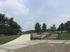 -保利石象湖景区