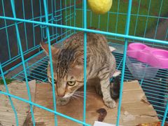 -JUKEBOX玖部音乐餐厅(华侨城店)