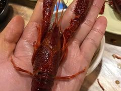 靓靓蒸虾-靓靓蒸虾(中山公园店)
