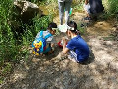 -碓臼峪自然风景区