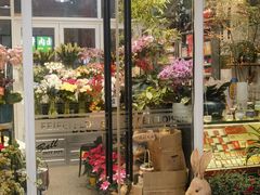 -FEI FEI FLOWER鲜花店·气球派对·宝宝宴布置(虹口德必运动Loft店)