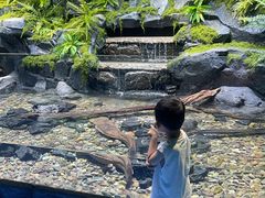 -海合安成都极地海洋公园