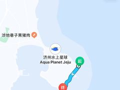 -涉地可支