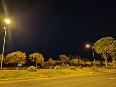 -南汇嘴观海公园
