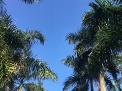 -广州市帽峰山景区
