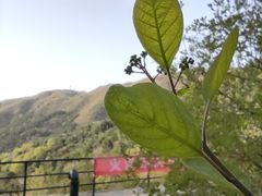 -香山公园