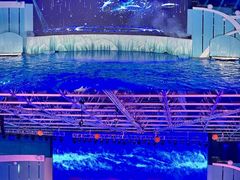 -海合安青岛极地海洋公园