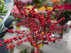 -EPOQUE·一刻花店(兴业太古汇店)
