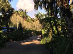 -新加坡飞禽公园