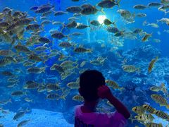 -海合安成都极地海洋公园