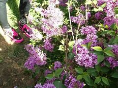 -国家植物园南园