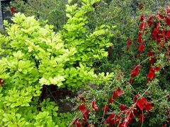 android_upload_pic-香山寺