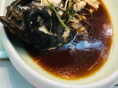 清蒸石斑鱼-鹊华居·地道鲁菜·海鲜·融合味(大明湖店)