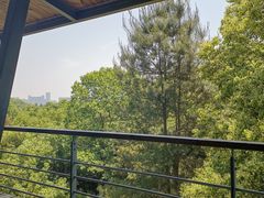 -西湖风景区-江洋畈生态公园