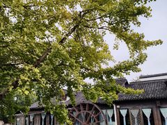 -乌镇景区
