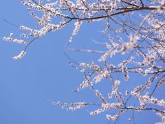 -三里河公园