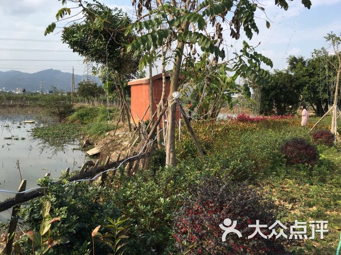 綠夢溼地生態園-圖片-汕頭周邊遊-大眾點評網