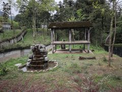 -碧峰峡风景区