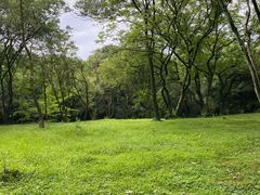 -杭州植物园