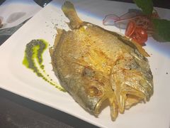 -羽山料理