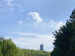 -宜兴龙背山森林公园