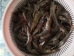 -王四营海鲜市场