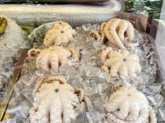 -铭聚章鱼土笋冻(松柏店)