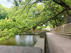 -普陀山风景名胜区-法雨禅寺