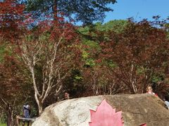 -广州市帽峰山景区