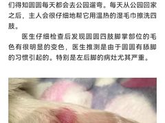 -瑞派申生动物医院·24H夜诊·国际动物医疗中心·骨外科(吴中路店)