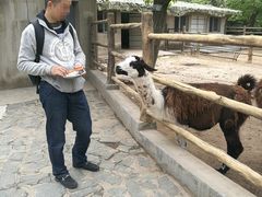 -西安秦岭野生动物园