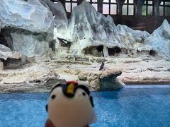 -帝企鹅自助餐厅•儿童岛•真企鹅(长隆企鹅酒店)