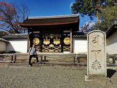 -醍醐寺