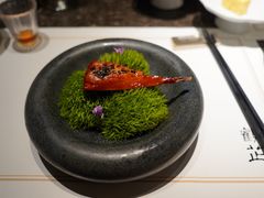 -觀芷隐轩