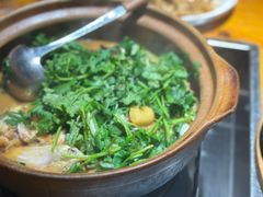 -九道菜有鸡鱼头(石鼓路店)