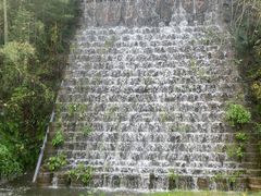 -千年银杏谷文化旅游区