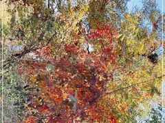 -北京西山国家森林公园