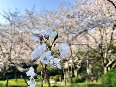 -中国茶叶博物馆(双峰馆区)