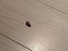-汤里来温泉