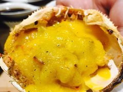 -菊上日式料理(蚌埠银泰店)