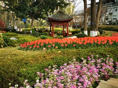 -成都市文化公园