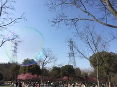 -太子山公园(园东路)