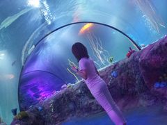 -沈阳海洋探索中心